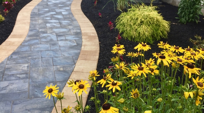 A paver walkway can add an attractive touch to any landscape.